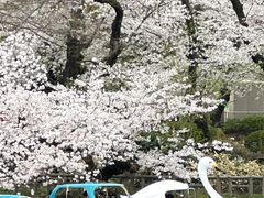 -井之头恩赐公园