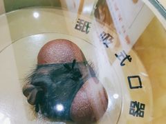 -上海昆虫博物馆