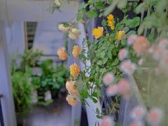 -边渡咖啡烘焙店(昙华林店)