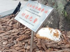 -龙华寺