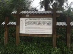-永泰中国云顶
