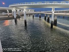 -演武大桥观景平台