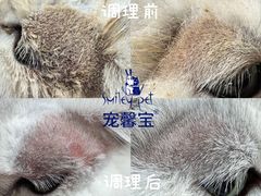 -汪小喵宠物·戴维斯乐芳希施宠馨宝皮毛调理洗护店