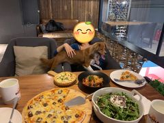 -百好乐宠物友好餐厅(朝外大街店)