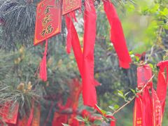 -泰山风景名胜区