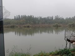 -西青郊野公园