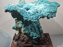 -甘肃地质博物馆