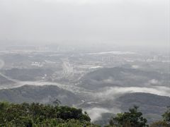 -黄埔油麻山森林公园