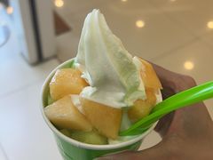 -Salud撒露欧洲冻酸奶(蓝色港湾店)