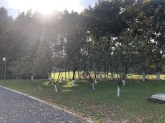 -九里河湿地公园