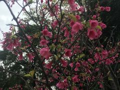 -广东外语外贸大学(白云山校区)