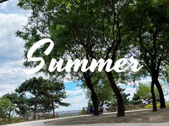 -北京西山国家森林公园