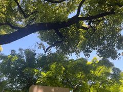 -上海兴国宾馆香樟园西餐厅