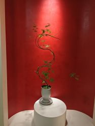 -阅年轻·AI家庭健康体质调理
