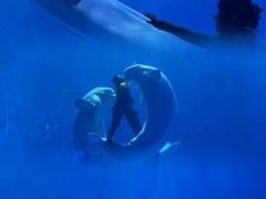 -多彩贵州城极地海洋世界