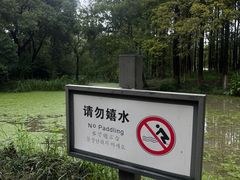 -新洲生态园