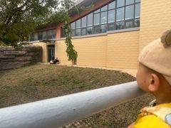 -石家庄市动物园