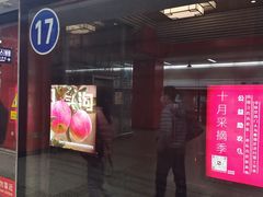 -望京西(地铁站)