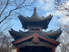 -广富林郊野公园