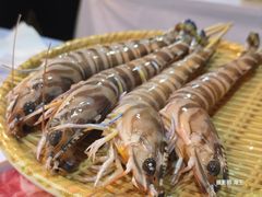 -鲜入围煮花胶鸡海鲜火锅