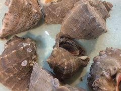 -雅逸居海鲜小厨