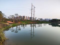 -金银湖国家城市湿地公园