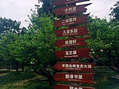 -秀丽东方