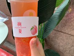 -树夏(建设路店)