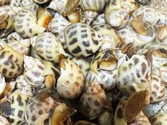 -海港湾海鲜加工坊(海鲜大世界店)