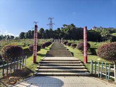 -紫马岭公园