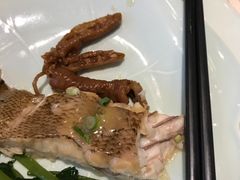 -浩运·海鲜青岛菜·海胆水饺(石老人店)