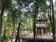 -西安市长乐公园