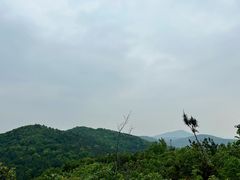 -宝界山林公园