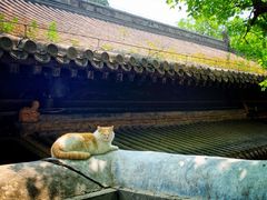 -大觉寺-停车场