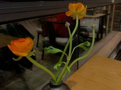 -禅蕴素食生活馆