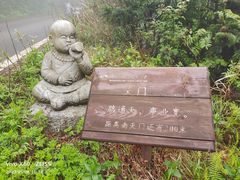 -武陵山森林公园