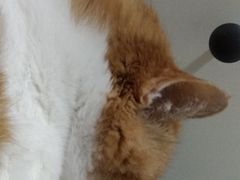 -美联众合动物医院·24h转诊中心