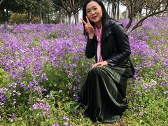 -杭州湾海上花田景区