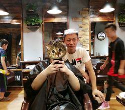 点击看大图 -MX 造型