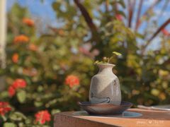 -曼乐辰餐厅(中庚漫游城店)