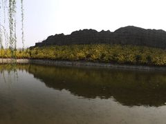 -东方巨龟苑景区