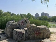 -太阳宫公园
