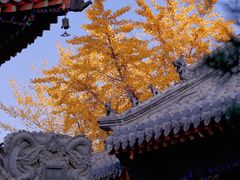 -长安寺