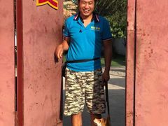 -宠物寄养训练学校
