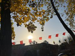 -府河摄影公园