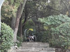 -云龙山