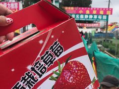 -小鱼草莓采摘园农家乐·小鱼餐厅