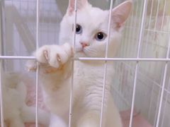 -宠颐生中康贝怡动物医院