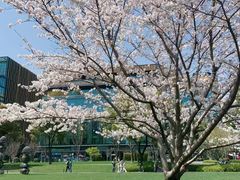 -长白岛森林公园