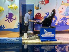 -太平洋海底世界